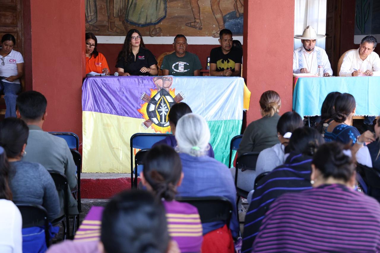 IEM acompaña consulta en la Isla de Yunuén sobre autogobierno  y presupuesto directo